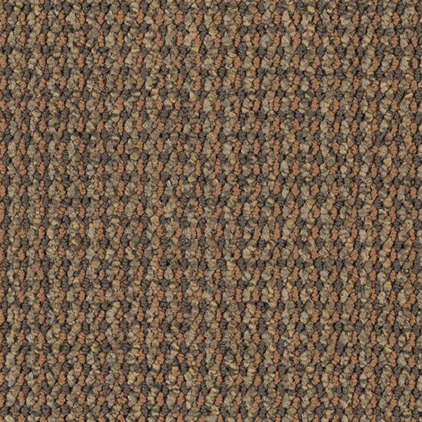 5002 Canyon Stone.jpg